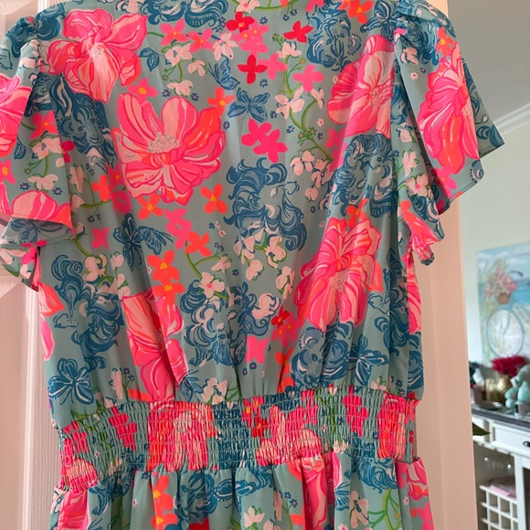 NWT Lilly Pulitzer MaryAnne Flutter Sleeve  Size 12 - Picture 3 of 13